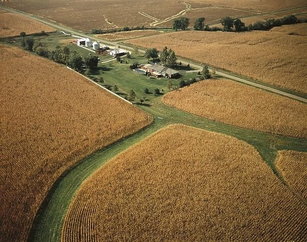 USA, Illinois, Aerial view of wheat fields and farm near Peoria