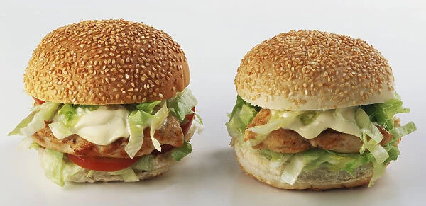 Front view of Chicken Burgers