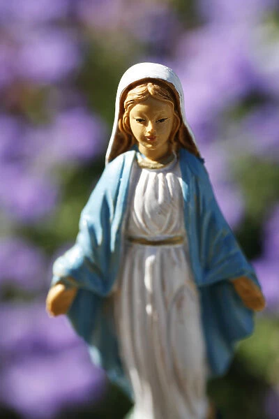 Virgin Mary in a flower