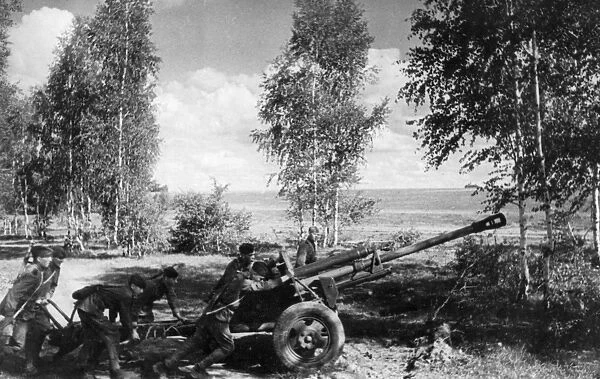 World war 2, august 1943, a red army gun crew pulling their gun to the firing position