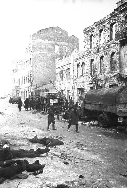 World war 2, battle of stalingrad, after the battle, 1943