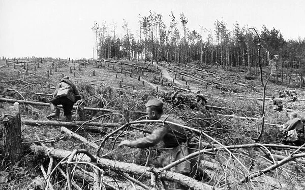 World war 2, may 1942, the kharkov direction, advancing red army men overcoming a barrier of felled trees