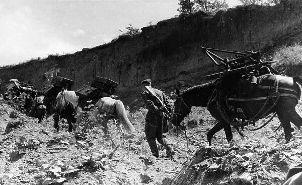 The x mountain pack 107mm mortar regiment in the foothills of the carpathians, july 1944, world war ll