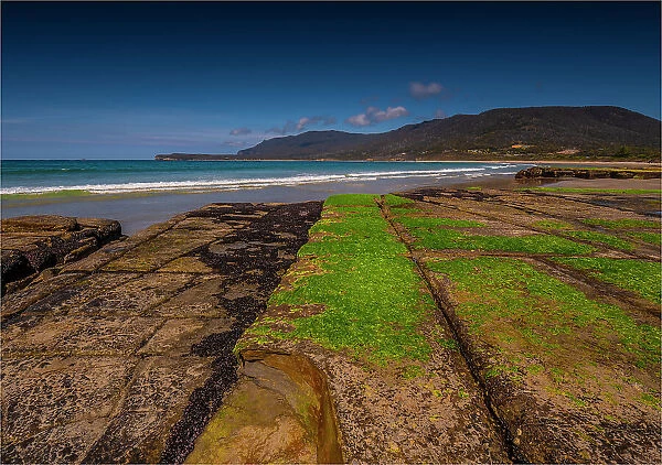 A view of the Tessalated pavement at Pirates bay, Tasman Peninsular, Tasmania, Australia