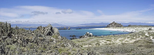 Bay with a white sandy beach on Damas Island, Coquimbo Region, Chile