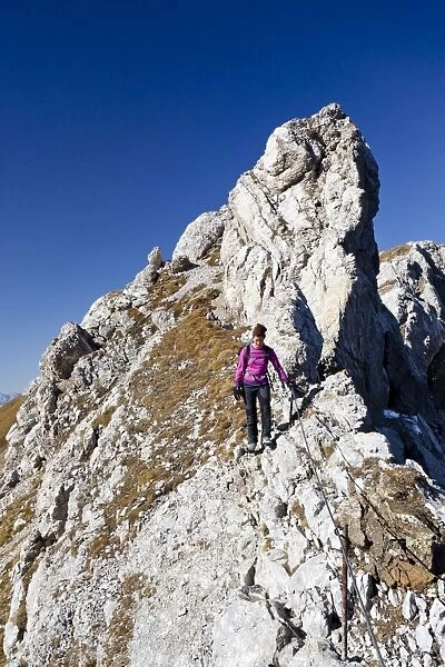 Climber on Bepi Zac climbing route in San Pellegrino Valley above the San Pellegrino Pass, Dolomites, Trentino, Italy, Europe