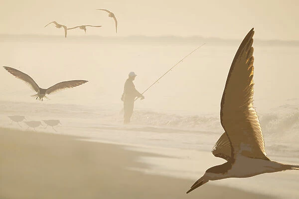 Fisherman and shorebirds