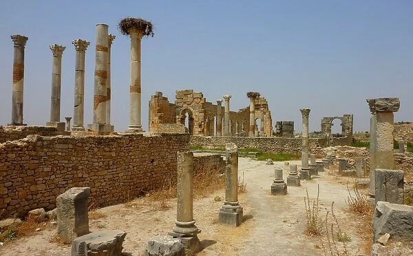 Old Roman city of Volubulis, Morocco