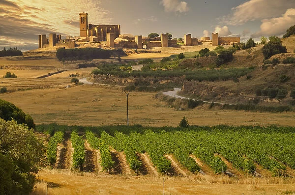 Scenic view on Artajona town. Navarre, Spain