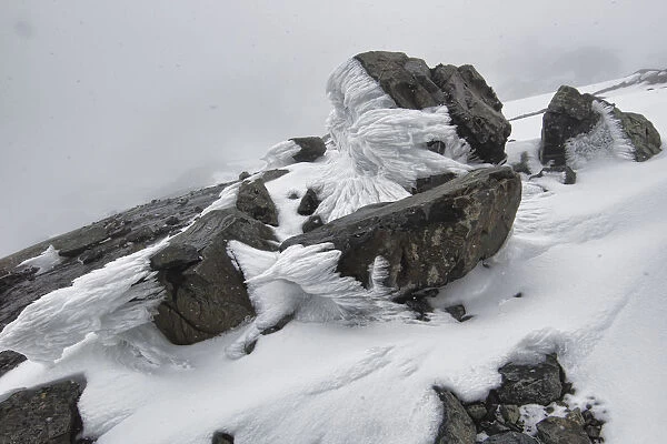 Snow, ice formations, glaciers and rime on Mount Stanley, Kilembe Route, Rwenzori National Park, Kasese District, Uganda