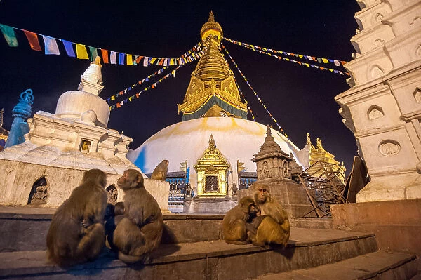Swayambhunath and monkey