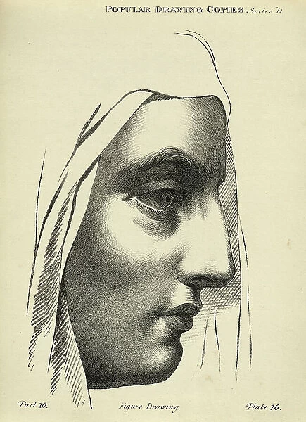 Vintage illustration of Sketching human face, Young woman in profile, Victorian art figure drawing copies 19th Century
