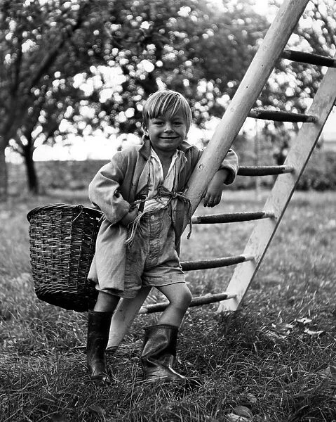 Graham Head aged 4 of Bunham, near Rochester, Kent, travels the Kentish orchards