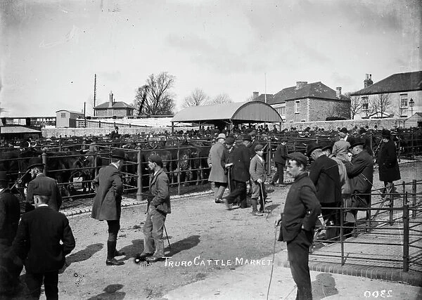 Cattle Market, Truro, Cornwall. About 1910