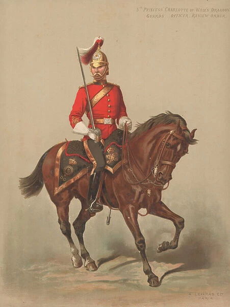 5th Princess Charlotte of Wales Dragoon Guards, Officer, Review Order (chromolitho)