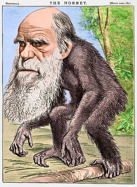 'A Venerable Orang-outang', a caricature of Charles Darwin as an ape