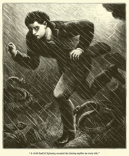 'A vivid flash of lightning revealed the hissing reptiles on every side'(engraving)