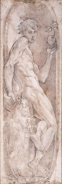 Adam holding an Apple, seated, in a Medallion, c. 1547-1553 (black chalk