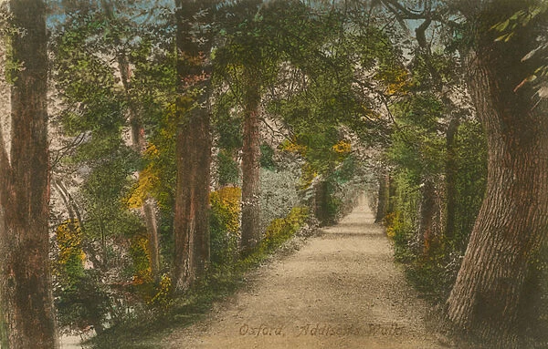 Addisons Walk, Oxford. Postcard sent in 1913
