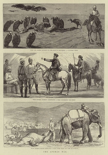 The Afghan War (engraving)