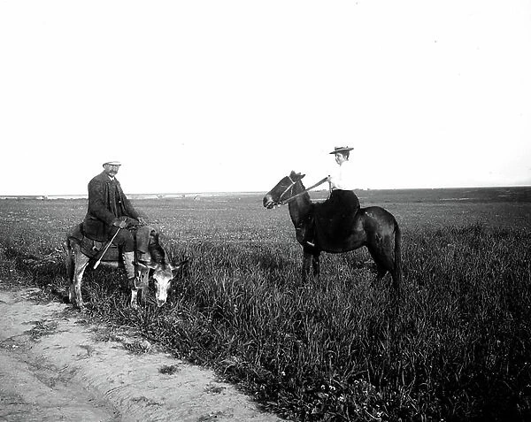 Algeria, Ain zeft: a European woman, Mrs Sotoberg, riding a horse in the Chelif plain, 1906