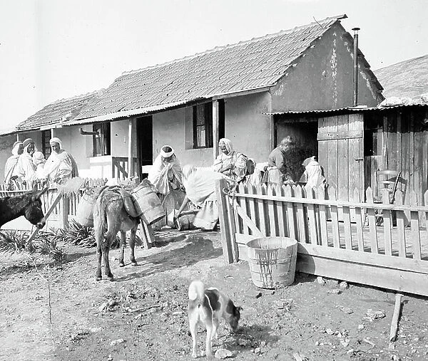 Algeria, Ain zeft: workers house in the oil field of Ain Zeft with women and workers, donkeys bring water to women who wash clothes, 1906