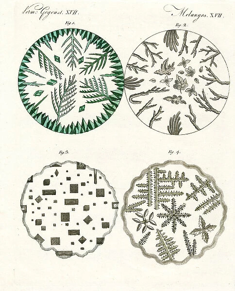 All kinds of salt crystals (coloured engraving)