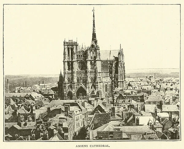 Amiens Cathedral (engraving)