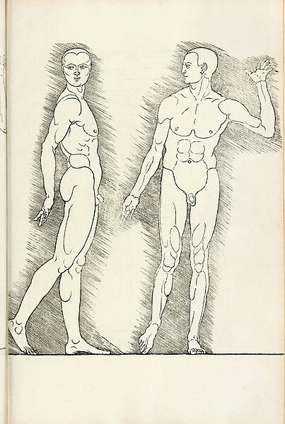 Anatomical woodcut from Hierinn sind begriffen vier bucher von menschlicher