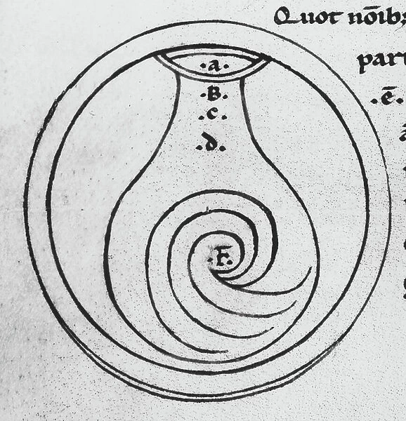 Anatomy: representation of the uterus by Garioponto (970 - 1050), Italian doctor of the Middle Ages, Biblioteca Civica Bertoliana, Vicenza