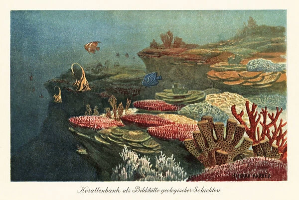 Ancient coral reefs on the ocean floor. 1908 (illustration)