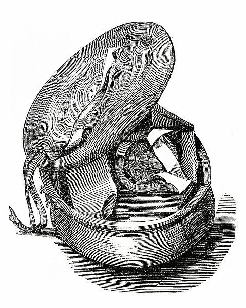 An ancient skippet, 1860 (engraving)