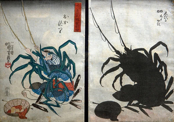 Angler; Lobster and Ark Shell (Okazuri  /  Ebi ni akagai) Series Witty Shadow Pictures