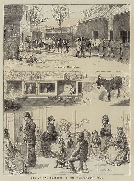 The Animal Hospital in the Wandsworth Road (engraving)