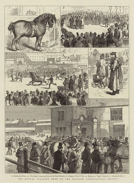 The Annual Stallion Show of the Glasgow Agricultural Society (engraving)