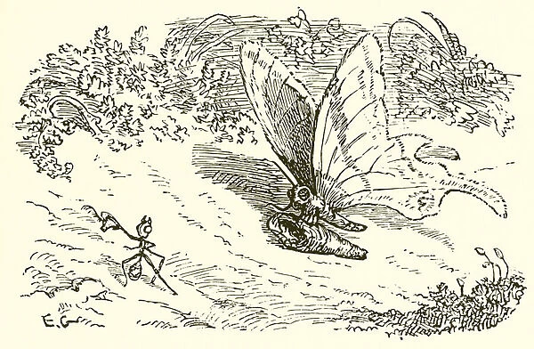 The Ant and the Chrysalis (engraving)