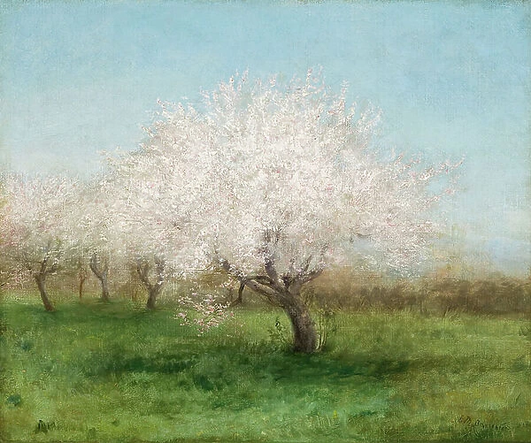 Apple Trees in a Meadow 1890 (Oil on canvas)