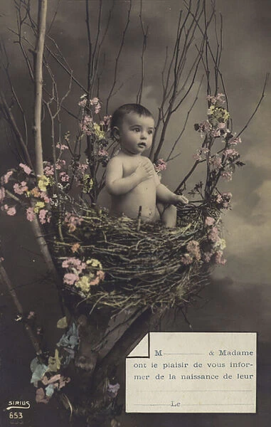 Baby in a nest (colour photo)