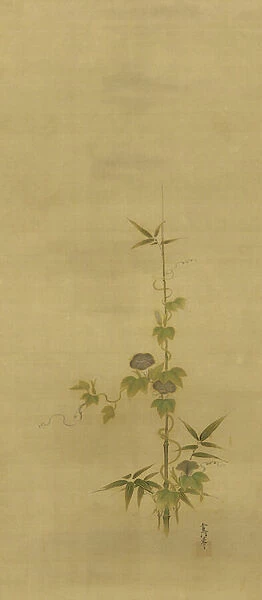 Bamboo and morning glories, Edo period, mid 17th-early 18th century