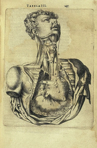 BARTHOLIN, Thomas (1616-1680). Danish physician, mathematician, and theologian. He is best known for his work in the discovery of the lymphatic system in humans and for his advancements of the theory of refrigeration anesthesia