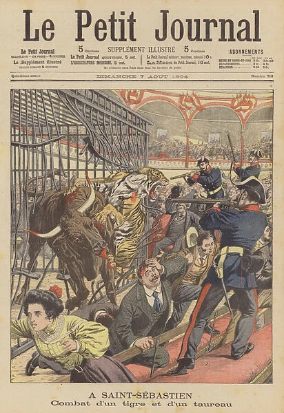 Battle between a tiger and a bull in a bullring in San Sebastian, Spain (colour litho)