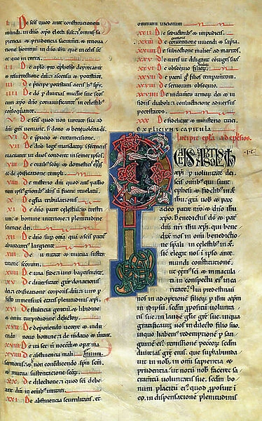 Bible of Lleida