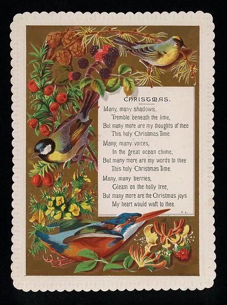 Birds, flowers and plants, Christmas greetings card. (chromolitho)