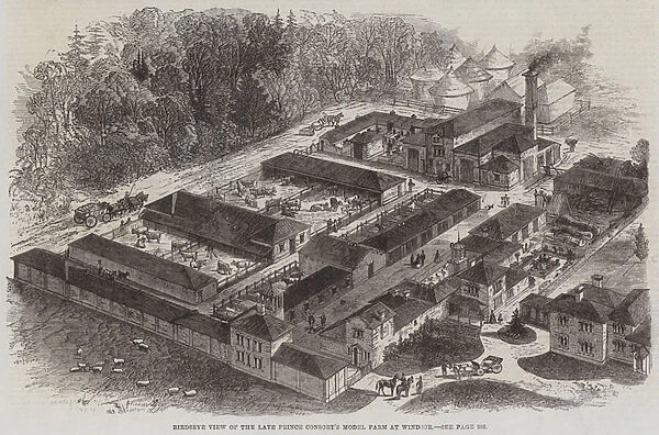 Birdseye View of the late Prince Consorts Model Farm at Windsor (engraving)