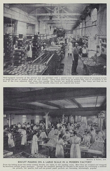 Biscuit making on a large scale in a modern factory (b  /  w photo)