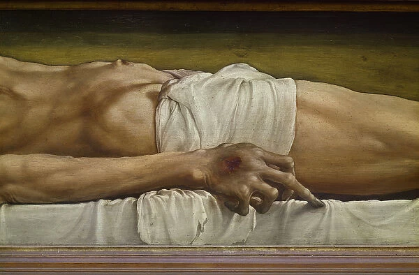 The Body of the Dead Christ, detail of the hand, 1521 (tempera on limewood)