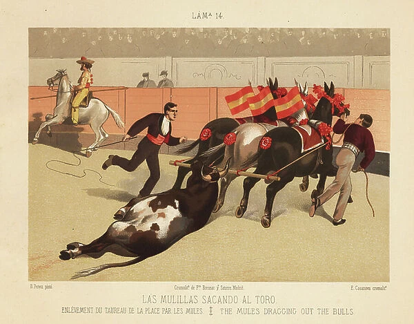 The bull carcass is dragged out of the bullring by a team of mules decorated with flags. Chromolithograph by E. Casanova after an illustration by Daniel Perea from Bullfight, Corrida del Toros, Madrid, Boronat & Satorre, 1894
