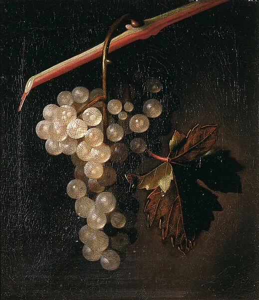 A Bunch of Grapes Hanging before a Stone Wall, 1709 (oil on canvas)