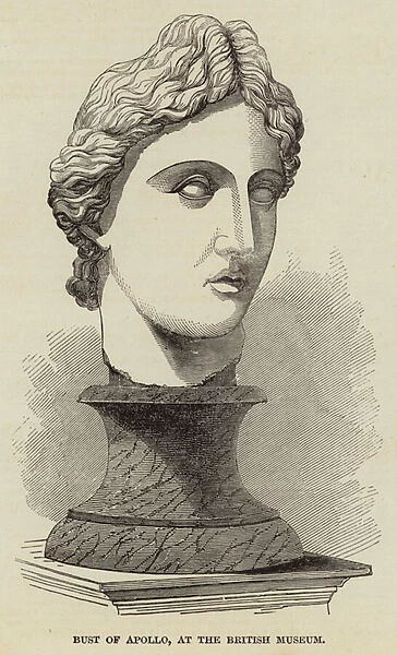 Bust of Apollo, at the British Museum (engraving)