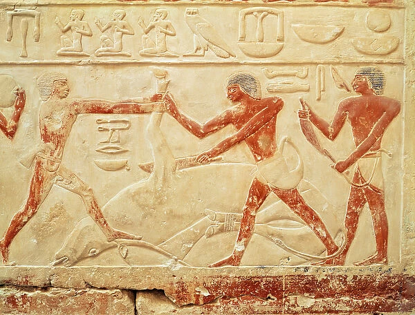 Butchers slaughtering an ox, relief from the Tomb of Princess Idut, Old Kingdom, c